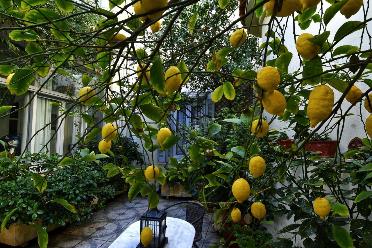 Appartamento Athens Authentic Elegance At Acropolis Esterno foto